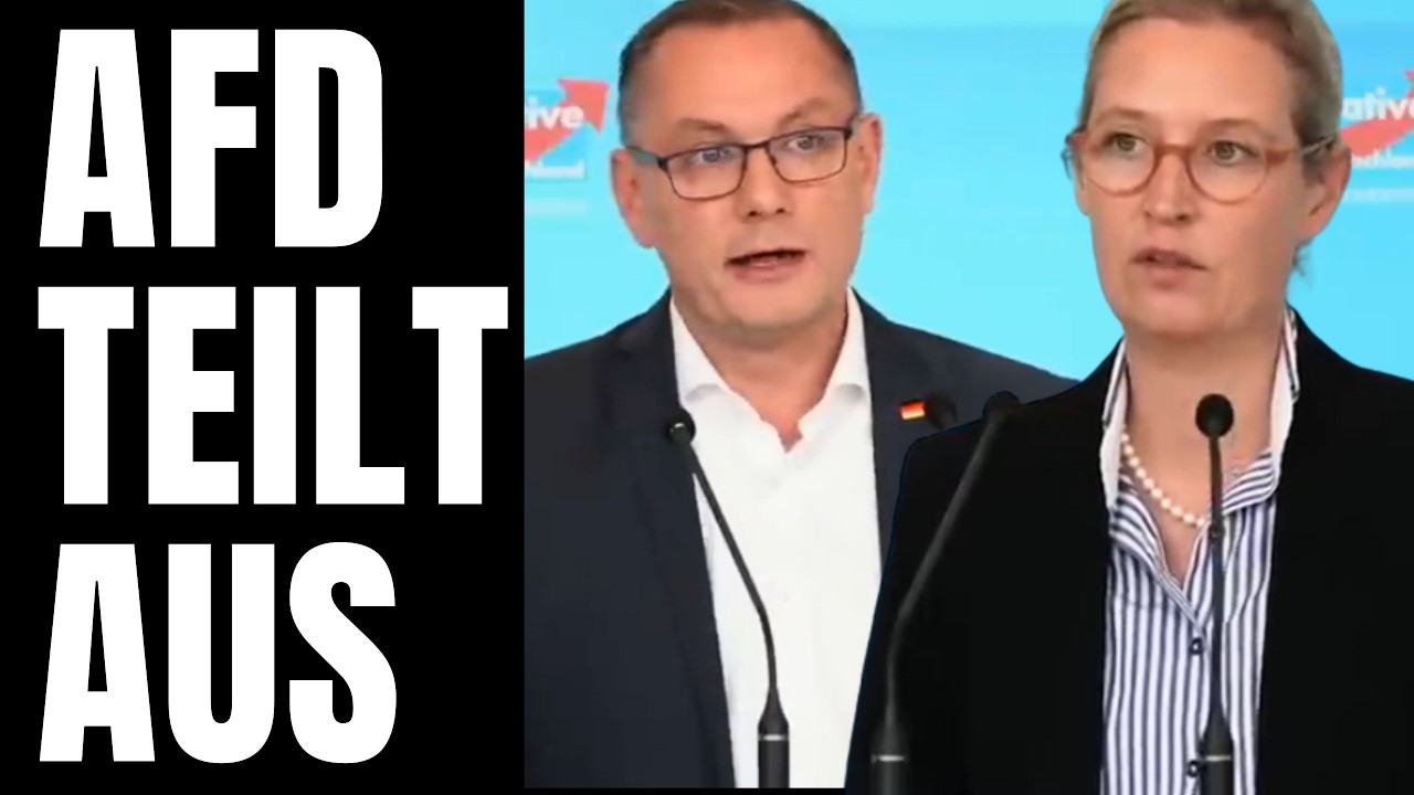 💥 MERZ GIBT GERADE AUF 💥 AFD VERKÜNDET UNFASSBARES