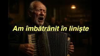 Am îmbătrânit în liniște (@DoiBatrani )