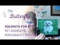 The butterfly cafe ep 11  pet solepath pepi