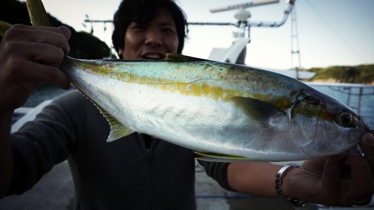 くーねるさんヒラマサありがとう ジギングいってきた Youtube くーねるさんヒラマサありがとう ジギングいってきた Youtube