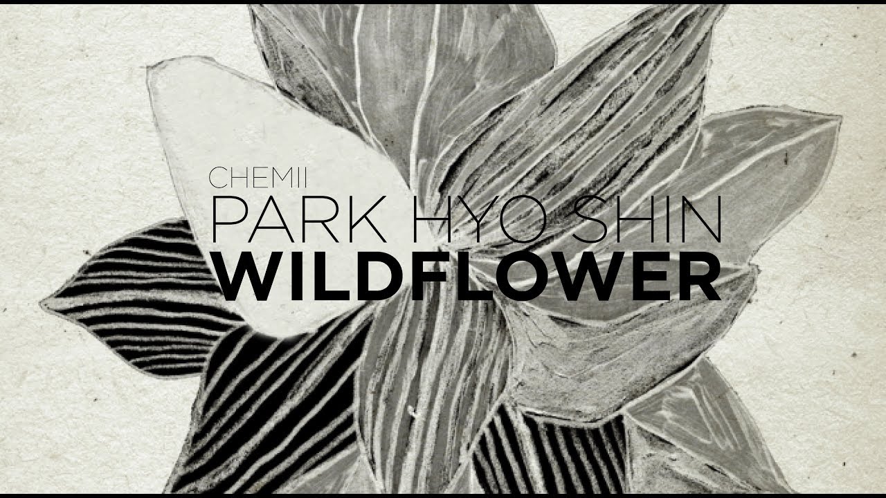 [MV] PARK HYO SHIN WILDFLOWER (Sub Español Hangul Roma) YouTube