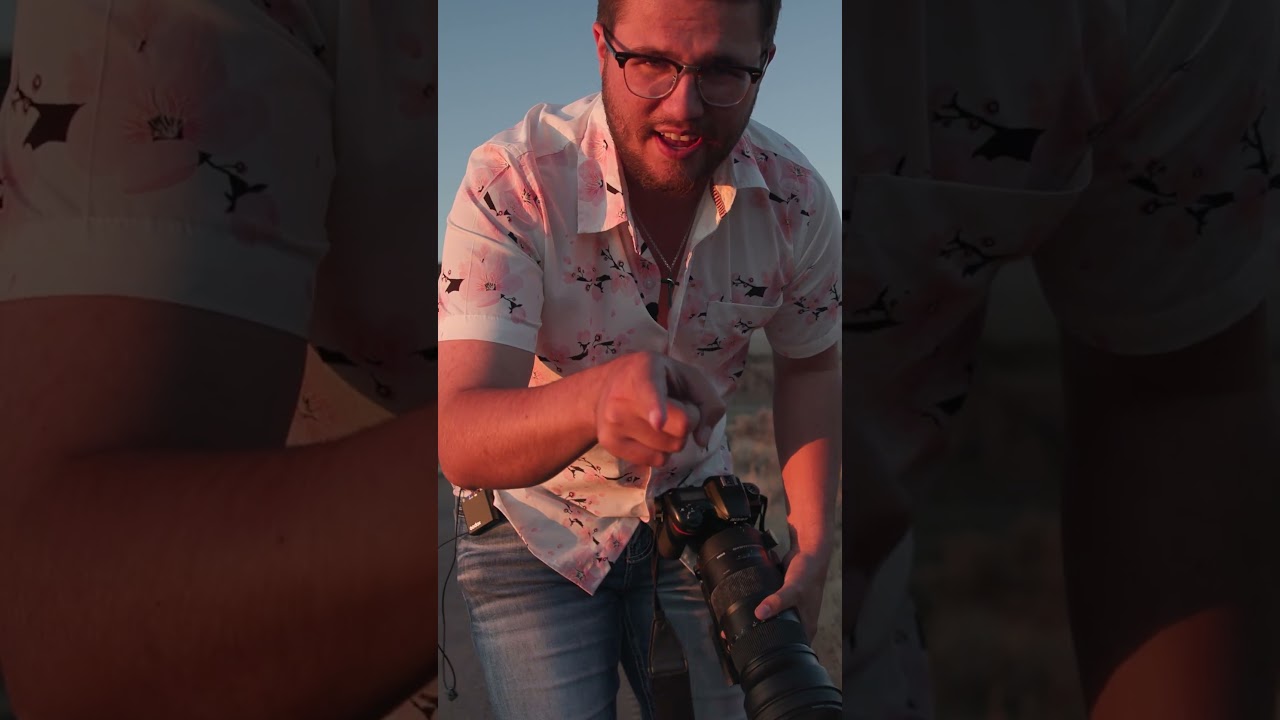 Wildlife Drive 1, finding elk 