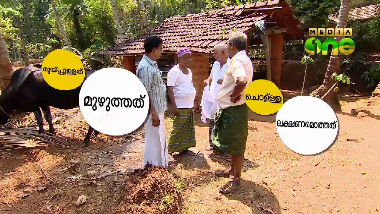 Njanga Ninga | Through the native languages - Koduvally, Kozhikode  (Episode 50)