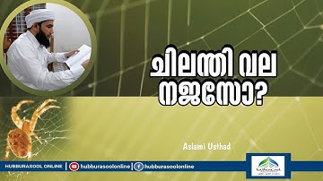 ചിലന്തി വല നജസോ? | Latest Islamic Speech | Aslami Usthad | Hubburasool Online