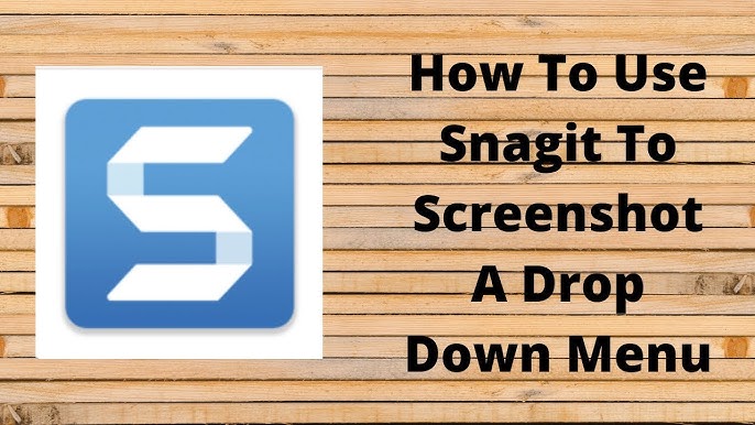 Snagit: The Ultimate Screen Capture And Recording Software (Most