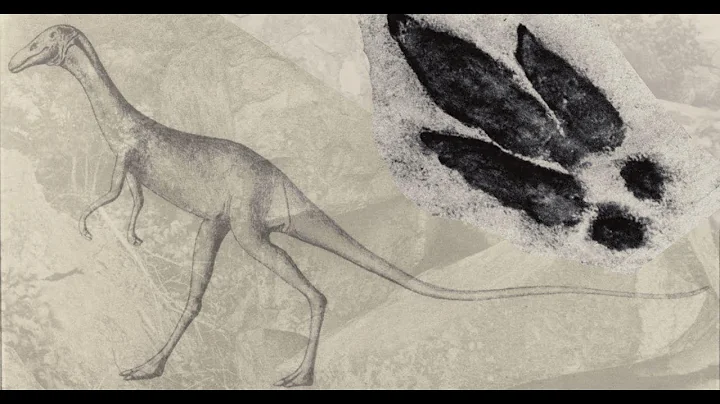 Dinosaurs, Meteorites, and Rock Formations: Prehis...