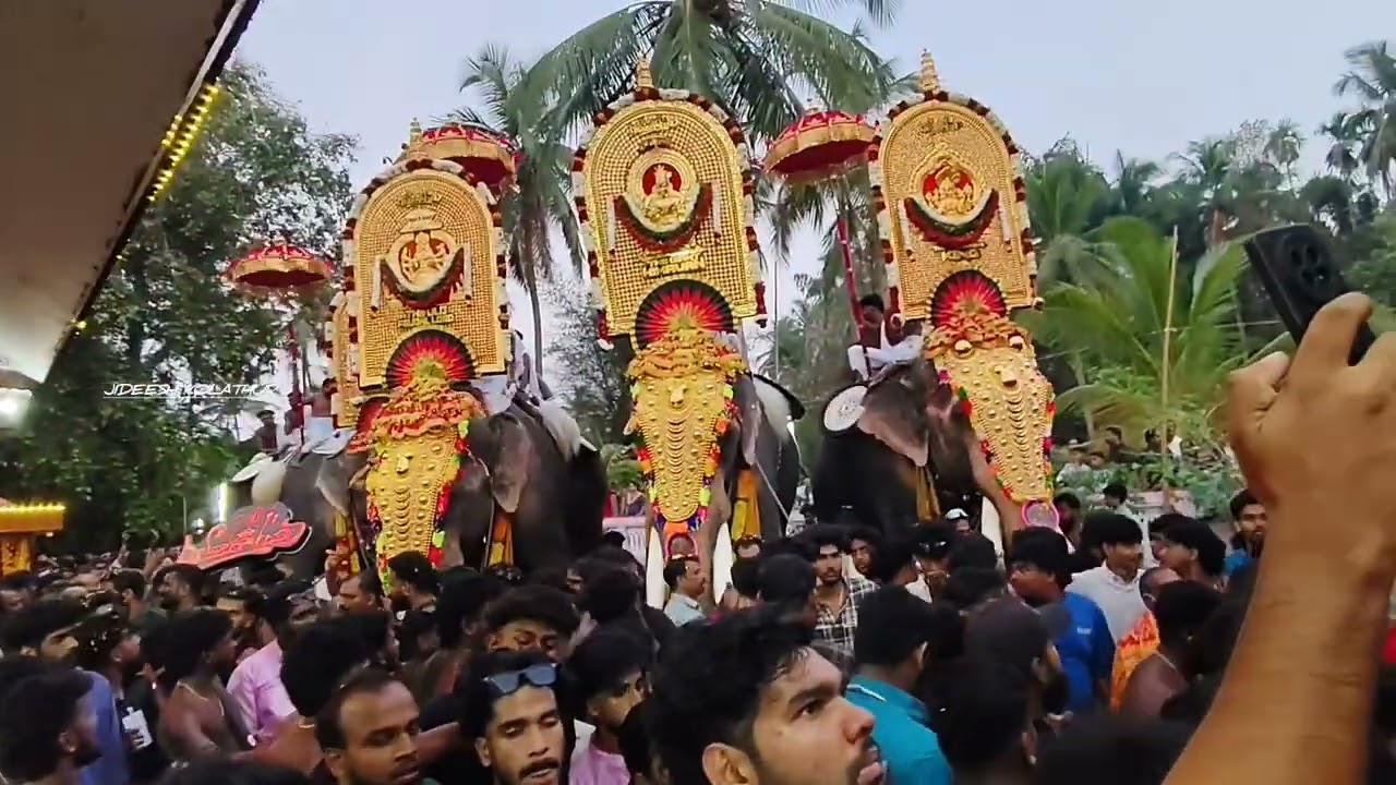 കപ്പിയൂർ ചിറക്കൽ പൂരം 🥰