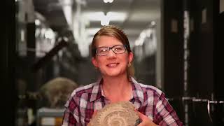 Fossil Sharks
Wherein we take an adventure into the deep oceans of history in pursuit of fossilized sharks.
NEW! Subreddit: http://www.reddit.com/r/thebrainscoop/
Facebook: http://www.facebook.com/thebrainscoop
Producer, Writer, Creator, Host:
Emily Graslie
Producer, Editor, Camera, Archive:
Tom McNamara
Theme music:
Michael Aranda
Created By:
Hank Green
Production Assistant:
Katie Kirby
Shout-out to Bill Simpson for his help in the production of this video and lending us the fossilized shark specimens for the shoot!
We want to thank Ray Troll (http://www.trollart.com/) for generously allowing us to incorporate his incredible illustrations in this video!
The Idaho Museum of Natural History and the Idaho Virtualization Laboratory at Idaho State University is doing awesome work and they let us use the CT-scan of their Helicoprion for this episode, which we are very grateful for.
Special thanks to David Shiffman (@whysharksmatter) for his help, support, advice, and fun facts about sharks!
Additional thanks to Joe Hanson (itsokaytobesmart) and the folks at PBS Digital Studios for helping to put this great series together. :)
Filmed on Location and Supported by:
The Field Museum in Chicago, IL
(http://www.fieldmuseum.org)
In which Evan Liao, Barbara Velázquez, Kelleen Browning, Seth Bergenholtz, and Martina Šafusová did a noteworthy job translating subtitles for us. Fossil Sharks
