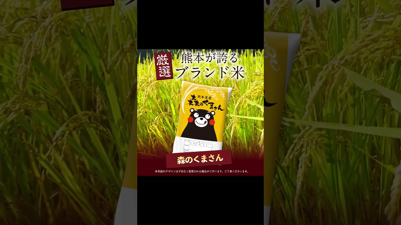 令和7年産 森のくまさん 5kg × 1袋 白米 熊本県産 単一原料米 森くま
