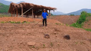 Bringing water to the pond, gardening, and growing more vegetables on the farm | Family farm 