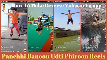 Panchhi Banoon Udti Phiroon Reels || How To Make Reverse Video in Vn app | Vn video Editing