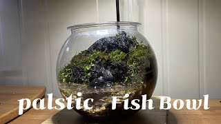 3천원 다이소 어항으로 물이 흐르는 이끼 테라리움 만들기/Build a flowing moss terrarium with a $2 plastic fish bowl
