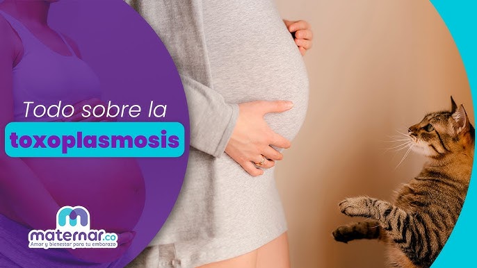 Embarazo y latido fetal: ¿cuándo escucharé el latido de mi bebé? - Divinity