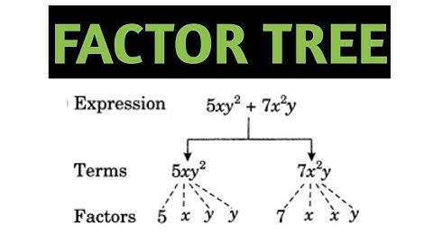 Factor tree or Tree diagram|| chapter 12 class 7 || Algebraic Expressions