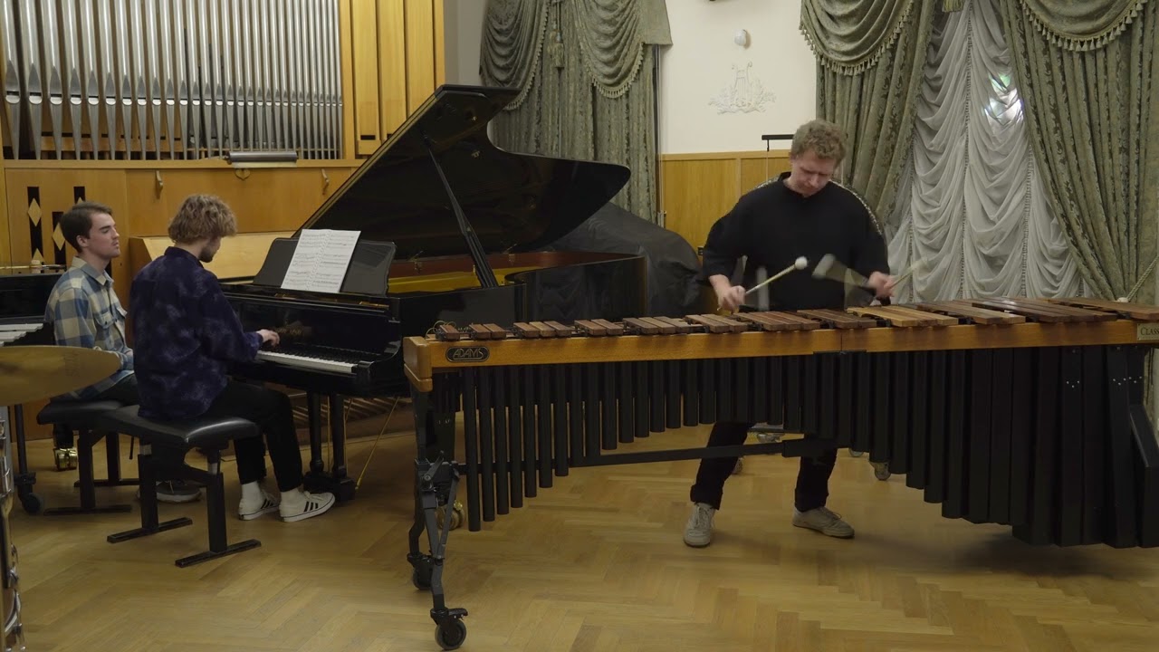 Лукас Сухарев – «Monkey Etudes» для маримбиста и пианиста. I. Popa langur