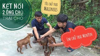 (Đã Ngừng Kinh Doanh)  Chủ Trại chó Malinois đi mua chó MinPin/ NhamTuatTV  Dog in Vietnam
