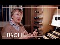 Zerer on Bach Wachet auf, ruft uns die Stimme BWV 645 | Netherlands Bach Society