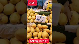 Тайланд, путешествие с FAMALL, первые пару дней. март 2023.