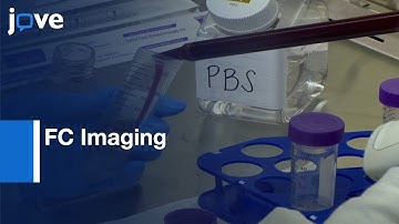 FC Imaging for Comparison between Two Monocyte Isolation | Protocol Preview