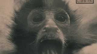 Watch V Don Ignorance video