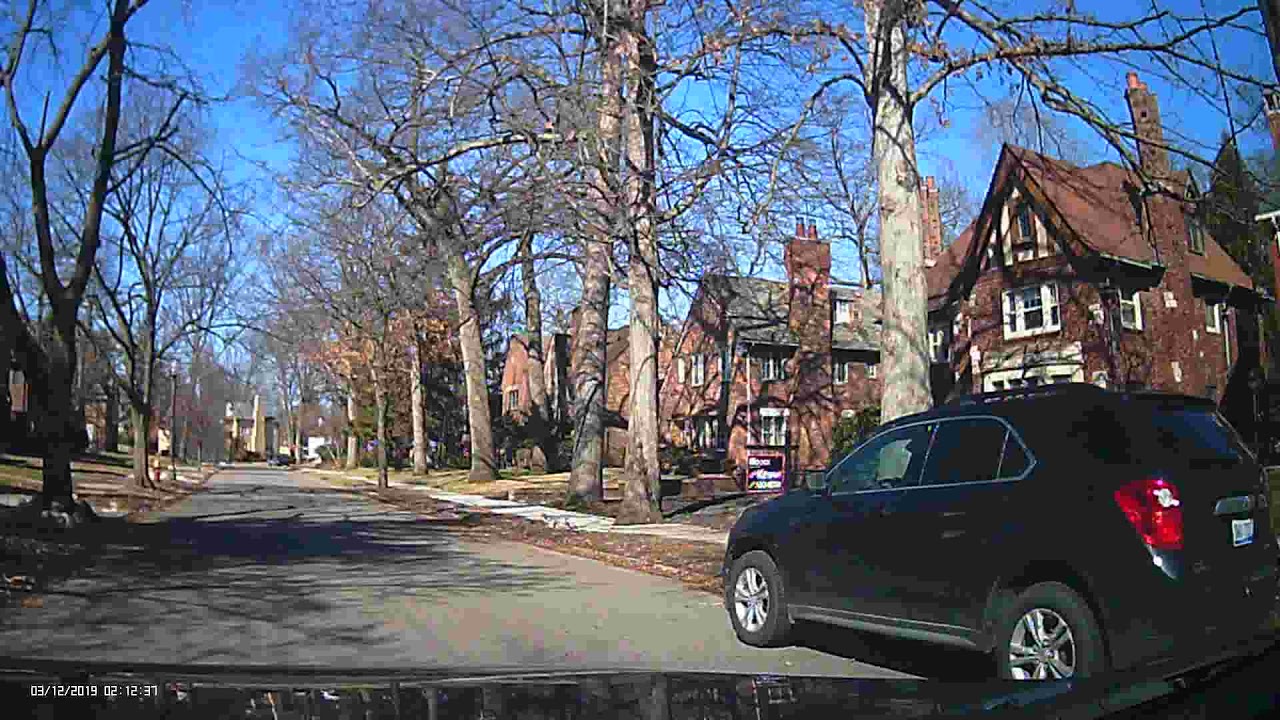 the exclusive sherwood forest (Detroit) part 1 YouTube