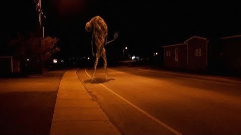 Buttercup, with unsettling images