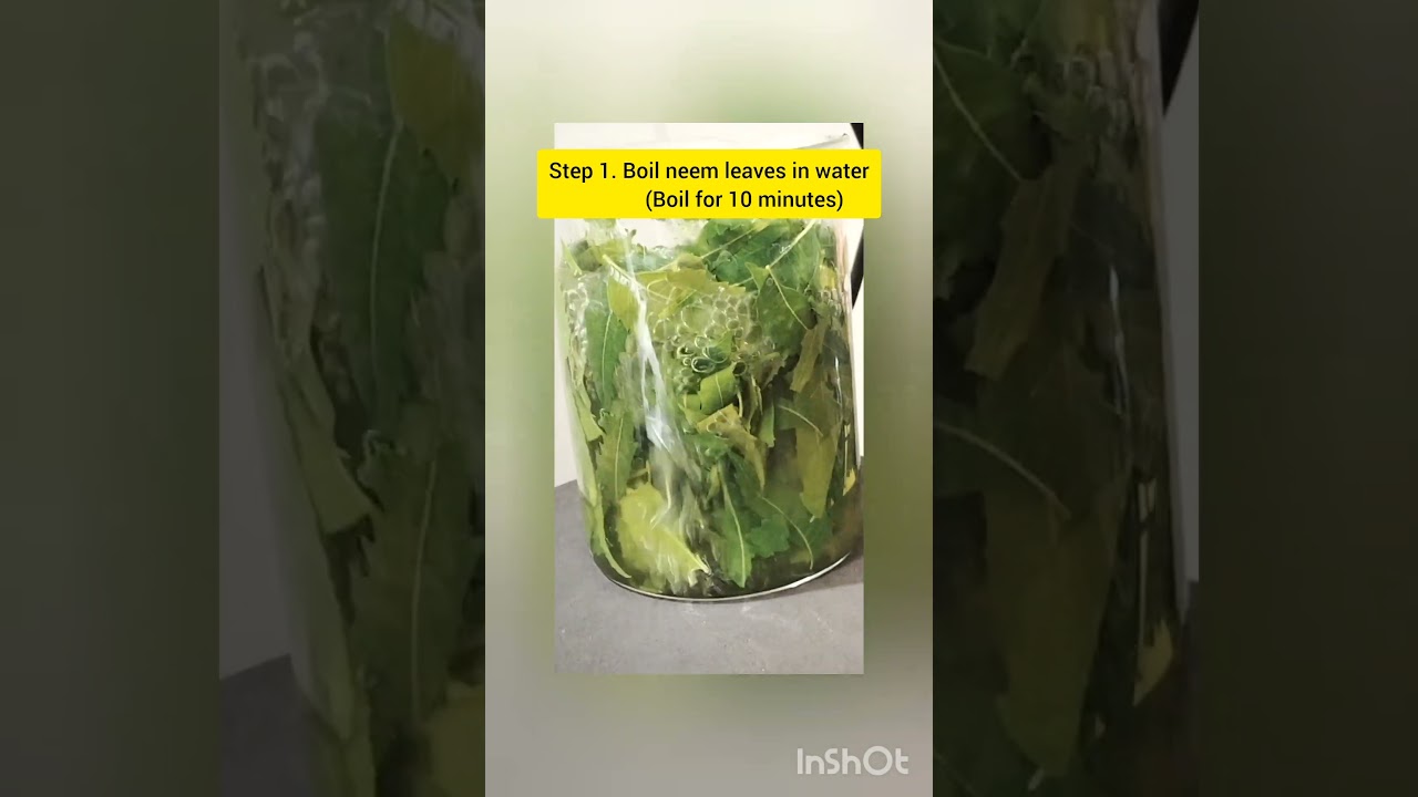 How to make neem water for hair growth & to get rid of dandruff