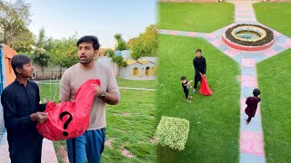 Ali Surprised Birds Lay Aya ❤️ Wo Bhi Tory Mey 😁