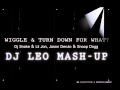 Turn Down For What & Wiggle - DJ Snake & Lil Jon | Jason Derulo & Snoop Dogg (Dj Leo Mash-Up