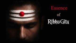 Essence of Ribhu Gita  ~ Advaita Vedanta