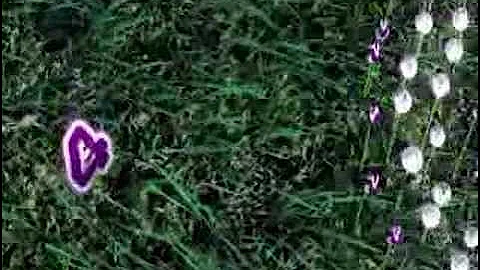 E4 Flower Bed - estings 2007