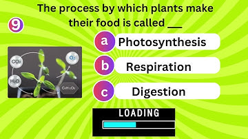 “Think You’re Smart? Take This 20-Question General Knowledge Quiz!”|The Quiz Show