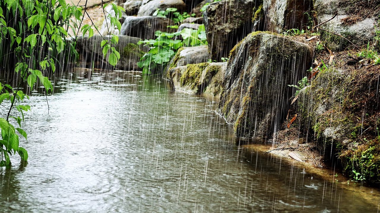Сладкие звуки дождя гарантированно помогут вам заснуть | Бессонница, шум в ушах | ASMR для сна