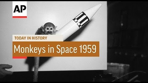Monkeys in Space - 1959 | Today in History | 28 May 16