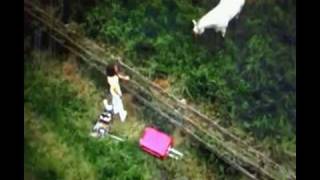 Dollhouse Mileytravis