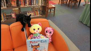 Stuffed Animal Sleepover 2017