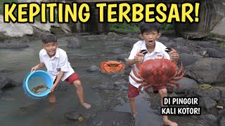 Download Lagu BERBURU KEPITING JUMBO DI PINGGIR KALI SAMA VIAN MP3