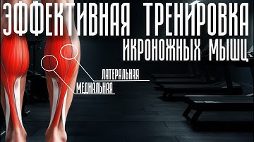 Эффективная тренировка икроножных и камбаловидных мышц. Как накачать икры? Разбор упражнения для икр