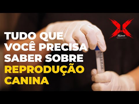 Vídeo: Sinais de reprodução saudável e normal em cães