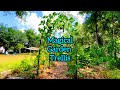 Simple Garden Trellis—Bring Natural Beauty To Your Garden