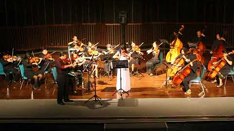 apple Louisa Liu Concerto for 2 violins in A minor...