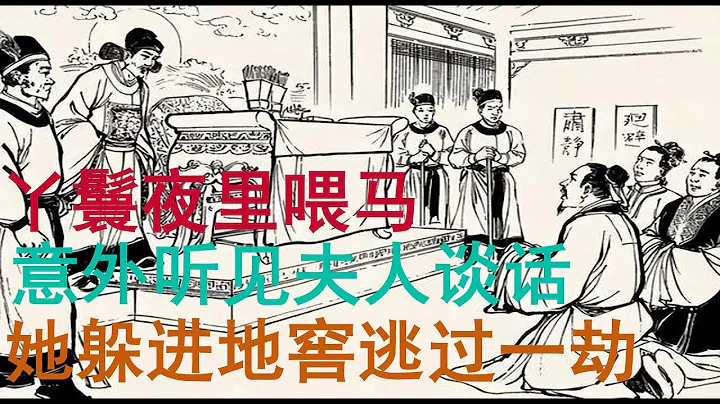 民間故事：丫鬟夜裡喂馬，意外聽見夫人談話，她躲進地窖逃過一劫！ - 天天要聞