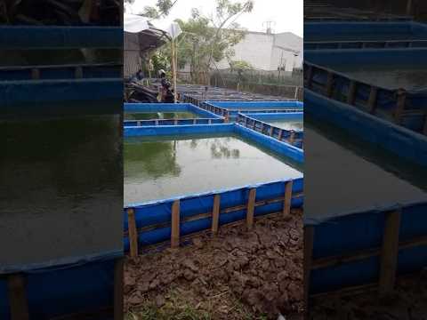 Каркасные бассейны для разведения рыбы 🐟🐠