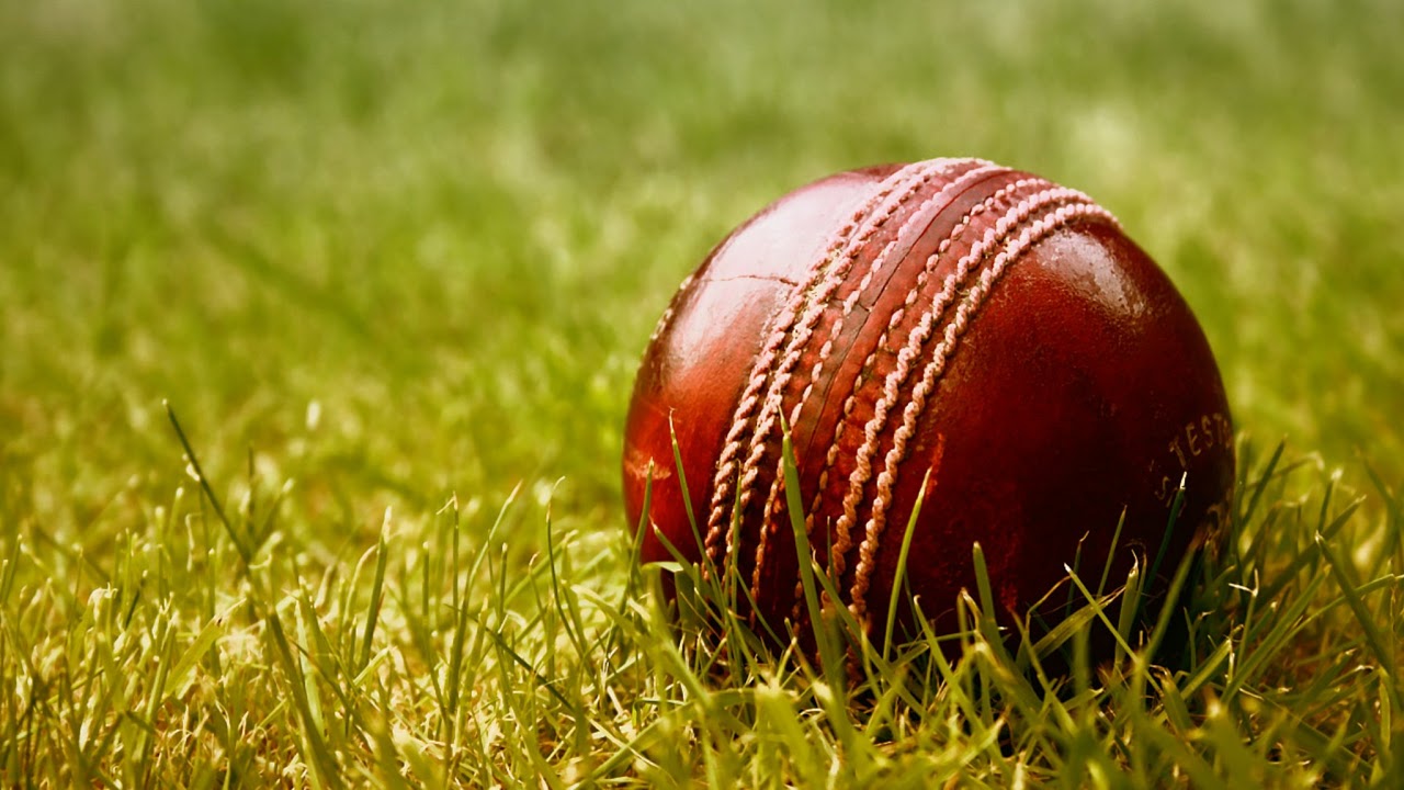 Match quality. Крикет. Крикет картинки. Cricket Ball. Cricket ground.