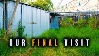 This Fence Was COMPLETELY SWALLOWED By 6ft Jungle!