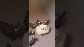 The Typst Guys Do Science