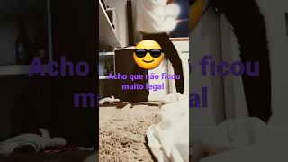 23 De Fevereiro De 2023