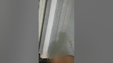 صلاة العشاء بمسجد التوحيد بمصر؛ القارئ همام عادل شاهين