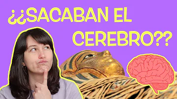 ¿Por qué los egipcios tiraban el cerebro?