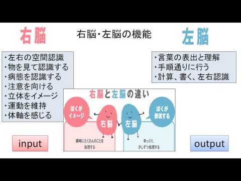 右脳to左脳の特徴を捉えると一目で何をすべきかわかる方法